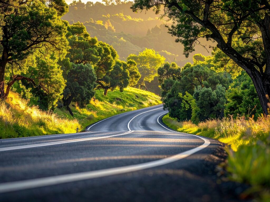 Winding road through green forest with golden sunlight.